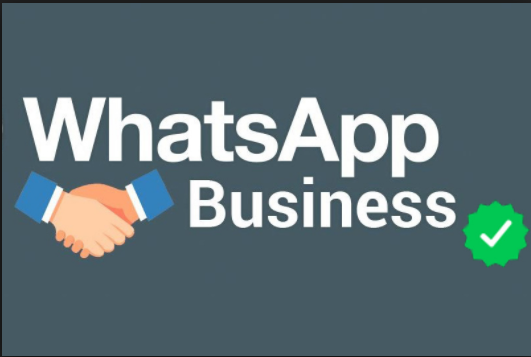 whatsapp business di cosa si tratta